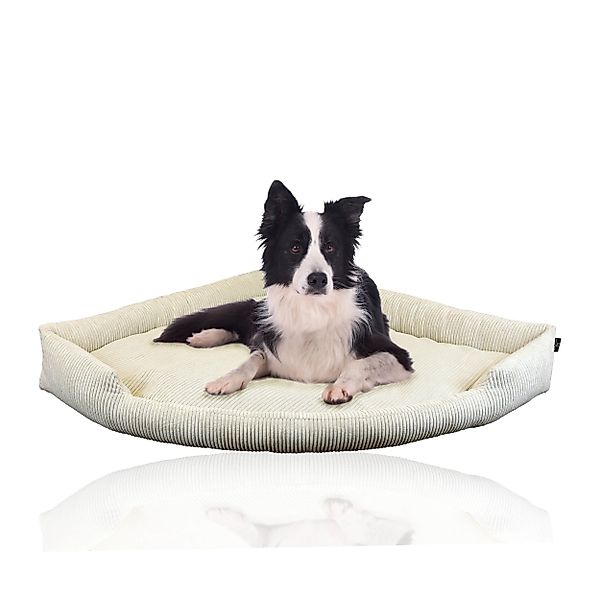 Rohrschneider Tierbett XXL Eck-Hundebett für große günstig online kaufen