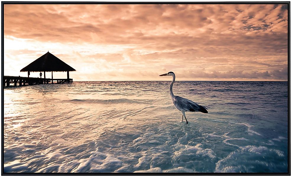 Papermoon Infrarotheizung »Flamingo Tropical Beach«, sehr angenehme Strahlu günstig online kaufen