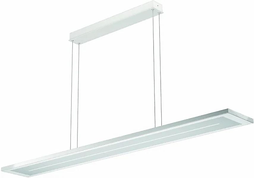 EVOTEC LED Pendelleuchte »ZEN«, 1 flammig, Leuchtmittel LED-Board   LED fes günstig online kaufen