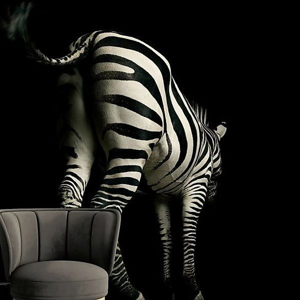 A.S. Creation Fototapete XXL 5 | DD114668 | Zebra | Digitaldruck auf Vliest günstig online kaufen