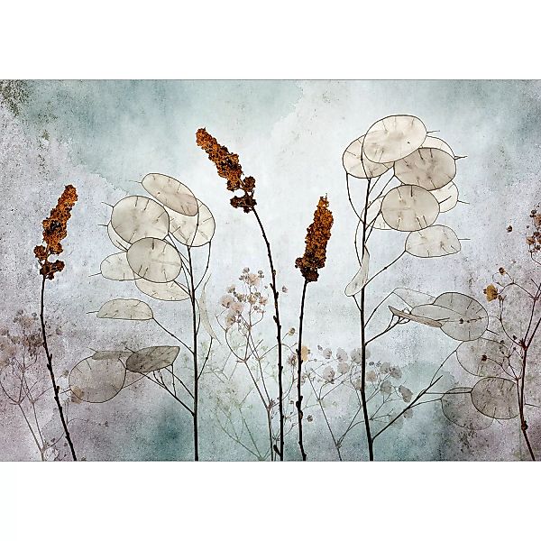 Fototapete - Lunaria in the Meadow günstig online kaufen