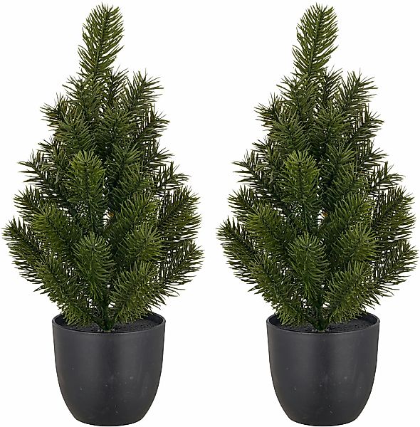 Creativ green Winterliche Kunstpflanze "Tannenbäumchen" günstig online kaufen