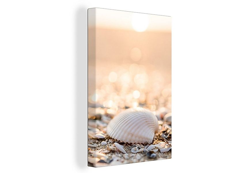 OneMillionCanvasses® Leinwandbild Muscheln - Weiß - Strand - Sommer, Fotodr günstig online kaufen