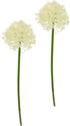 I.GE.A. Kunstblume "Allium Zierlauch" Stielblume künstliche Blumen, 2er Set günstig online kaufen