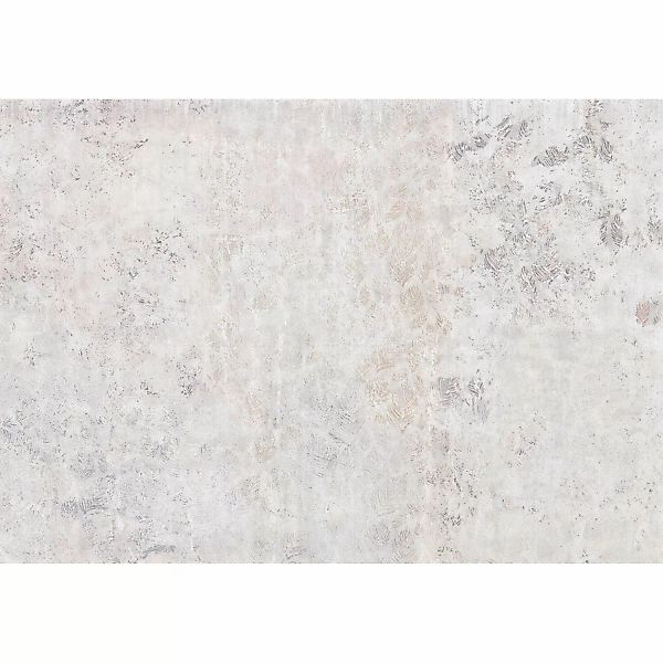 Komar Fototapete Vlies Feathered  400 x 280 cm günstig online kaufen