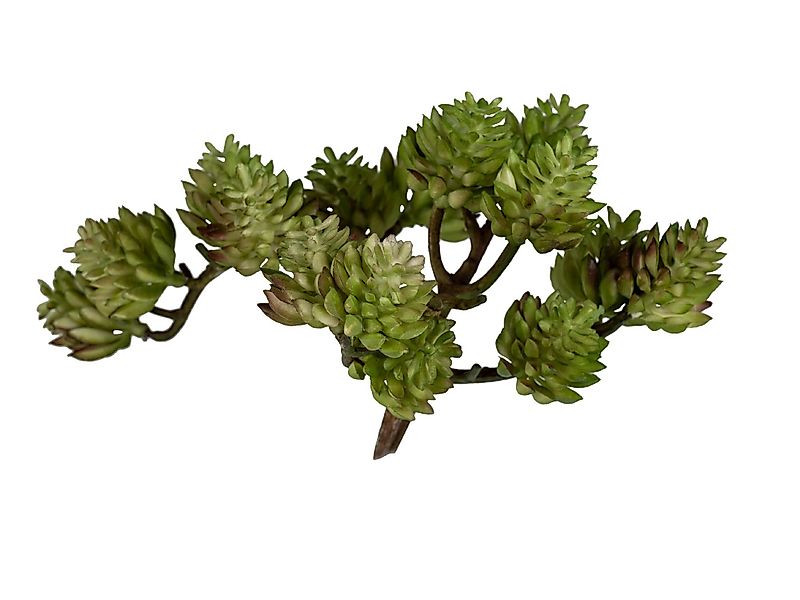 Kunstblume Frühlingszeit, formano, Höhe 13 cm günstig online kaufen