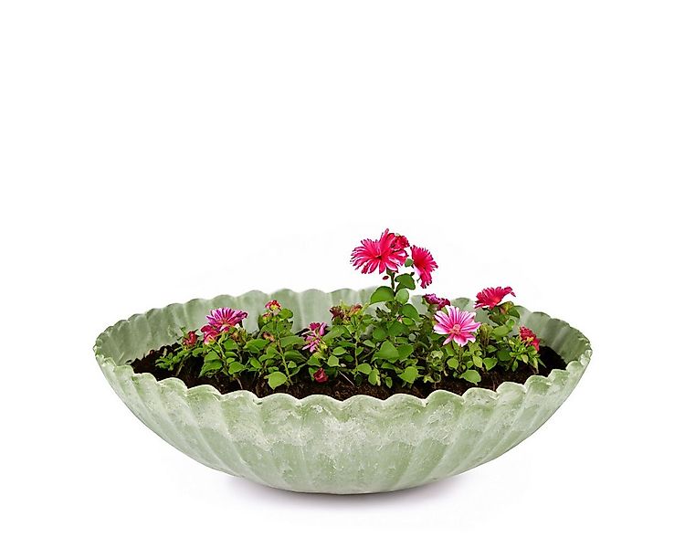 matches21 HOME & HOBBY Blumentopf Pflanzschale für draussen Dekoschale rund günstig online kaufen