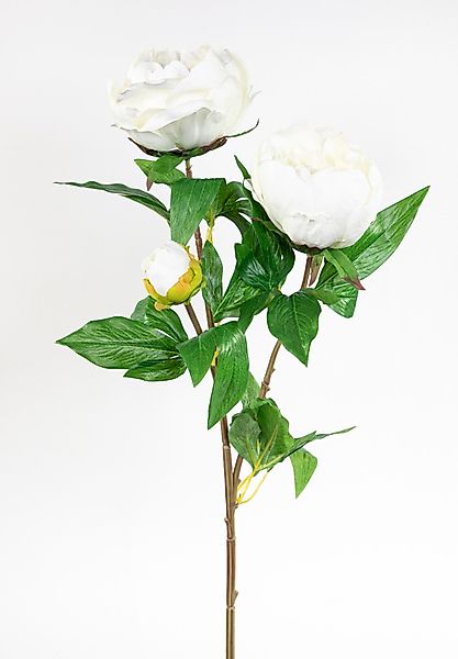 Kunstblume Pfingstrose Nature 68cm GA Seidenblumen günstig online kaufen