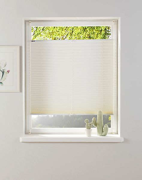 my home Plissee "KATIA" Lichtschutz ohne Bohren verspannt Fixmaß, Crushed-O günstig online kaufen