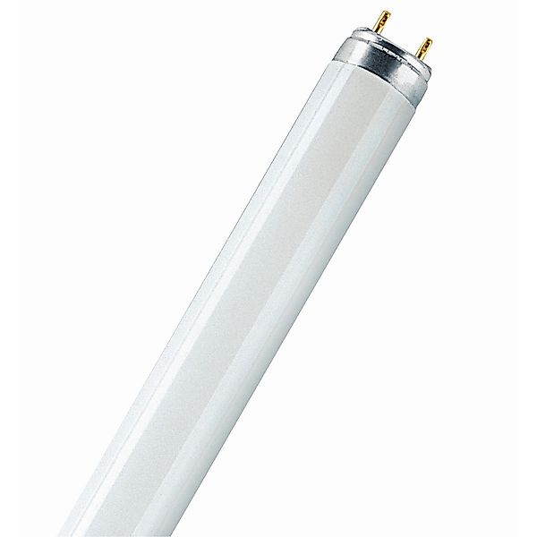 Osram Leuchtstofflampe G13 Röhrenform 30 W 2400 lm 90,9 x 2,55 cm (H x Ø) günstig online kaufen