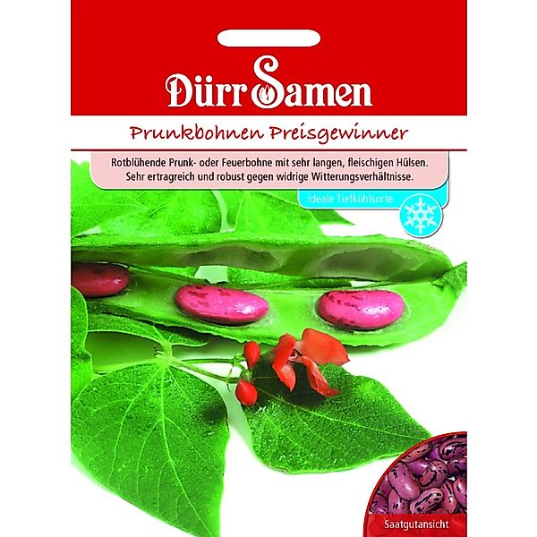 Dürr Samen Prunkbohnen Preisgewinner Saatgut günstig online kaufen