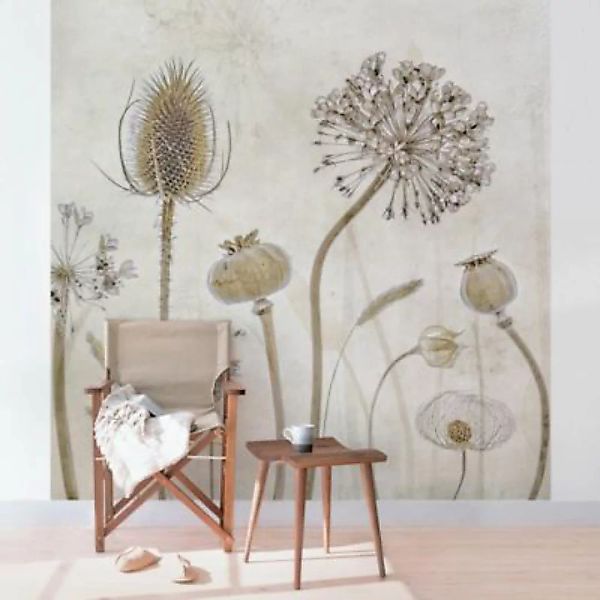 Bilderwelten Blumentapete Growing Old pastell Gr. 288 x 190 günstig online kaufen