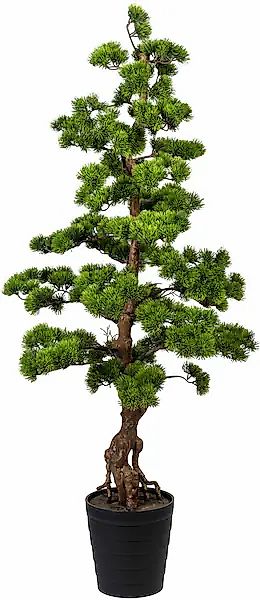 Creativ green Kunstbonsai »Bonsai Kiefer« günstig online kaufen