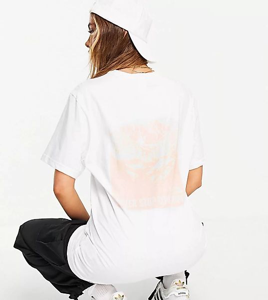 The North Face – Back Natural Wonders – T-Shirt in Weiß, exklusiv bei ASOS günstig online kaufen