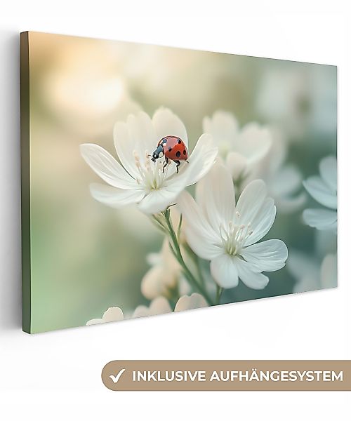 OneMillionCanvasses® Leinwandbild Marienkäfer - Blumen - günstig online kaufen