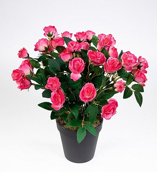 Kunstblume Rosenbusch 30cm im Topf ZF Rosenstrauch Kunstpflanze künstliche günstig online kaufen