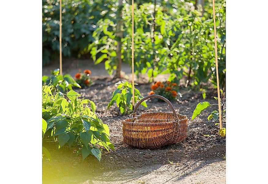 relaxdays Rankhilfe Bambusstäbe 105cm, natur günstig online kaufen