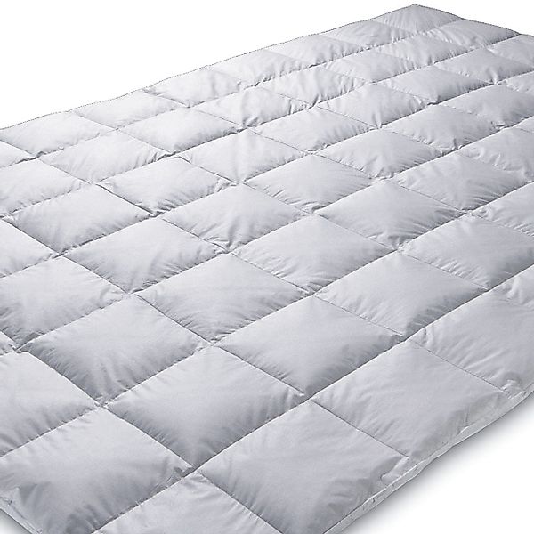 Königin der Nacht Daunenbettdecke ORIGINAL EIDERDAUNEN günstig online kaufen