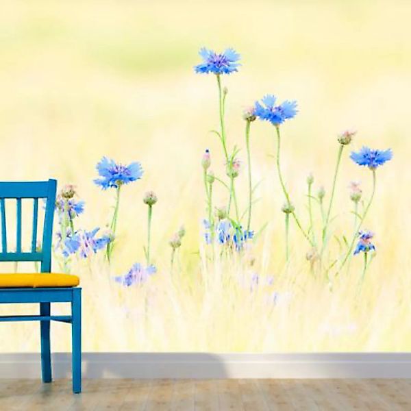 artgeist Fototapete Kornblumen blau/beige Gr. 250 x 193 günstig online kaufen