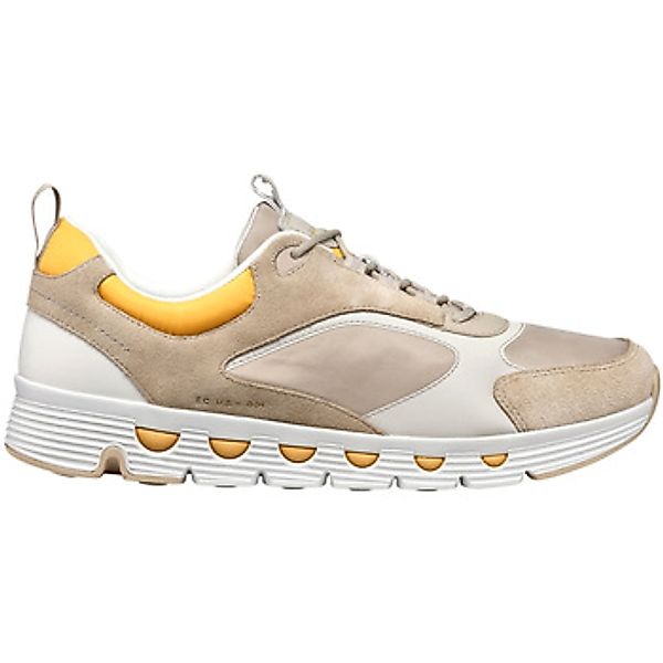 Geox  Sneaker - günstig online kaufen