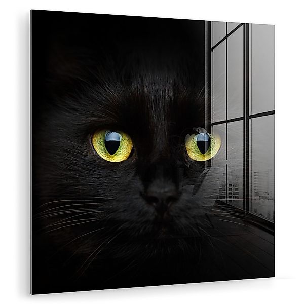 MuchoWow Acrylglasbild Katze - Schwarz - günstig online kaufen