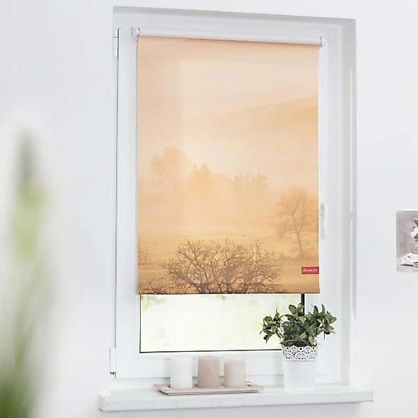 LICHTBLICK ORIGINAL Seitenzugrollo »Rollo Klemmfix, ohne Bohren, Verdunkelu günstig online kaufen