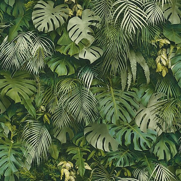 Bricoflor Tapete mit Palmenblättern in Grün 3D Tapete mit Monstera Design f günstig online kaufen