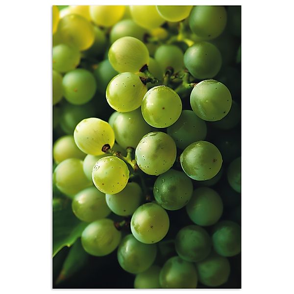 MuchoWow Poster Weintrauben - Traube - günstig online kaufen