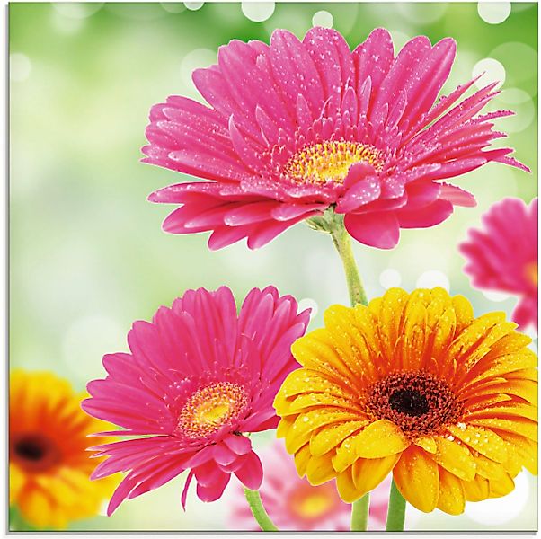 Artland Glasbild »Natürliche Romantik - Gerberas«, Blumen, (1 St.) günstig online kaufen