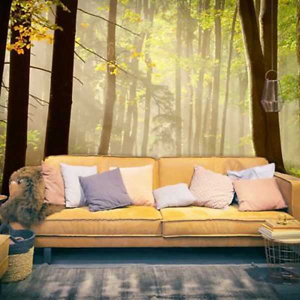 artgeist Fototapete Mysterious forest path mehrfarbig Gr. 400 x 309 günstig online kaufen