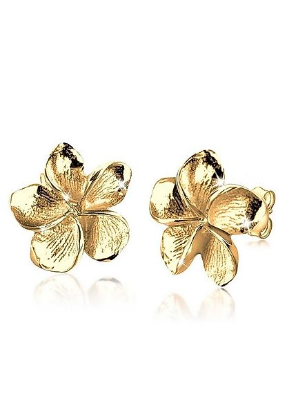 Elli Paar Ohrstecker Frangipani Blüte Blume Filigran 925 Silber günstig online kaufen