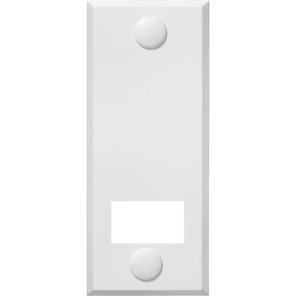 SCHELLENBERG Gurtwickler-Abdeckplatte Standard Maxi, 10,5 cm Lochabstand, l günstig online kaufen