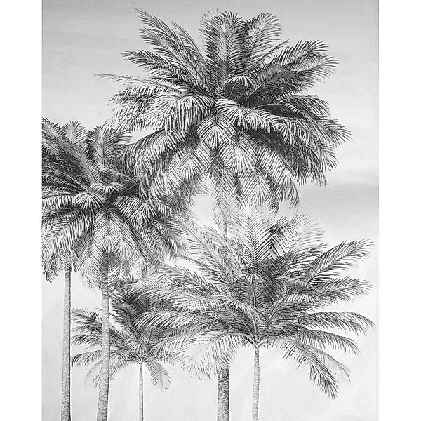 Komar Vliestapete »Digitaldruck Vlies - Cocco - Größe 200 x 250 cm«, bedruc günstig online kaufen