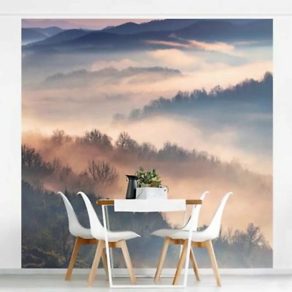 Bilderwelten Vliestapete Nebel bei Sonnenuntergang violett Gr. 480 x 320 günstig online kaufen