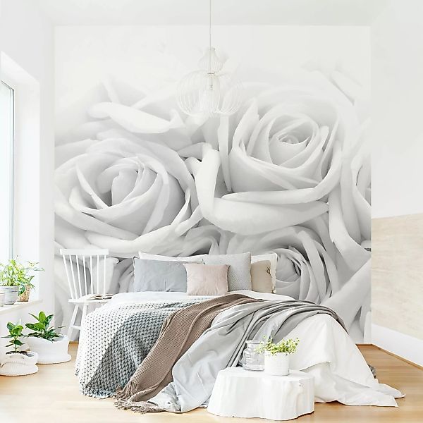 Fototapete Weiße Rosen Schwarz-Weiß günstig online kaufen