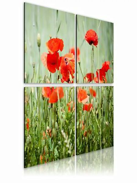 artgeist Wandbild Frühlingszeit mehrfarbig Gr. 90 x 90 günstig online kaufen