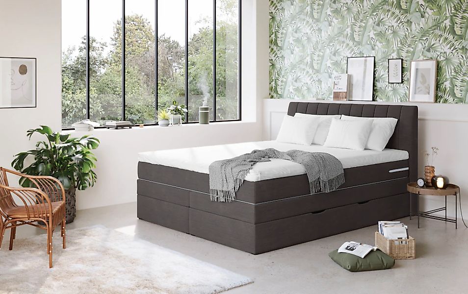 COTTA Boxspringbett "Shark inkl. Bettkasten und Topper", erhältlich in den günstig online kaufen