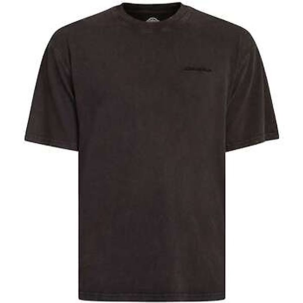 Dickies  T-Shirt Plentywood T-Shirt günstig online kaufen