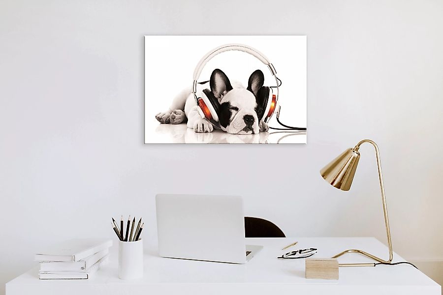 Bönninghoff Leinwandbild »Hund mit Kopfhörer«, (1 St.) günstig online kaufen