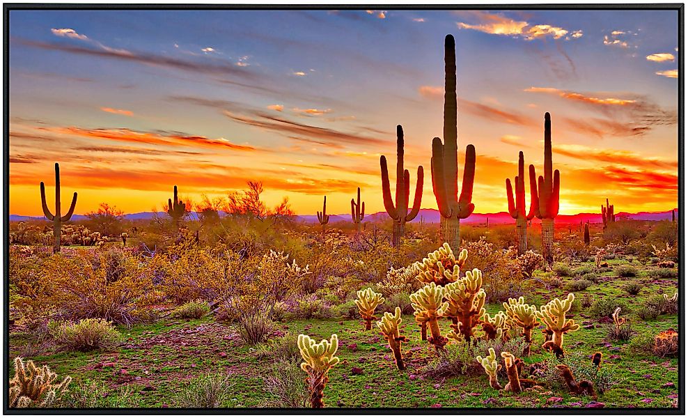 Papermoon Infrarotheizung »Saguaros Sunset Phoenix« günstig online kaufen