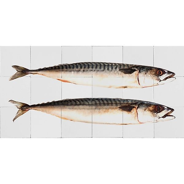 ESTAhome Wandtattoo Fische Grau 97 x 48,5 cm 159030 günstig online kaufen