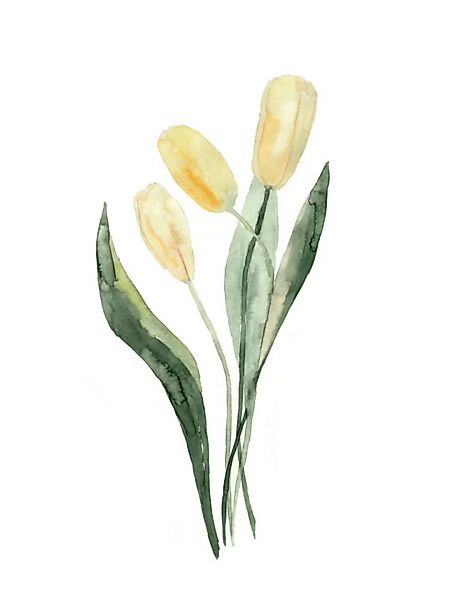 Poster / Leinwandbild - Gelbe Tulpen günstig online kaufen