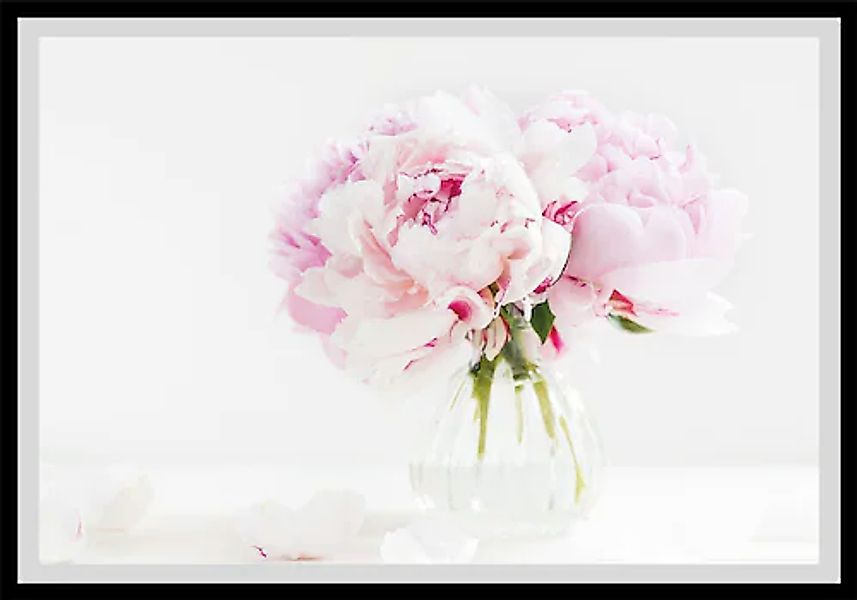 queence Bild »Carina«, Blumen, gerahmt, Rosen günstig online kaufen