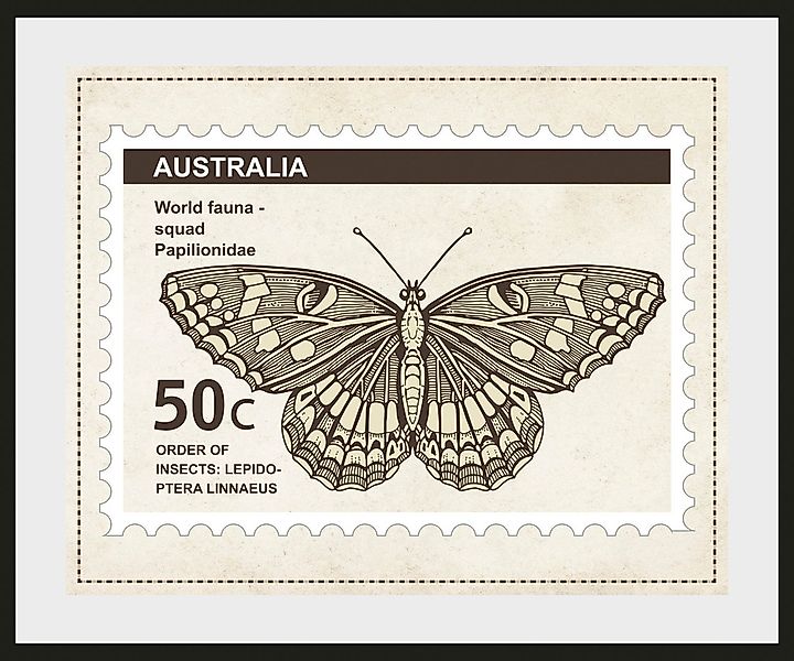 queence Bild »50c«, Schmetterlinge-Kunst-Insekten, (1 St.), HD Premium Post günstig online kaufen