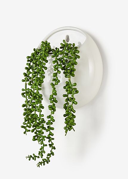 Kunstpflanze zum Hängen im Keramiktopf günstig online kaufen