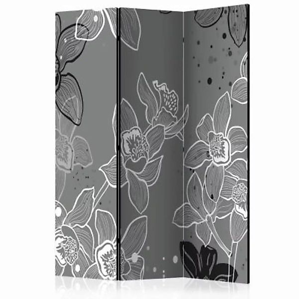 artgeist Paravent Winter flora [Room Dividers] schwarz/weiß Gr. 135 x 172 günstig online kaufen
