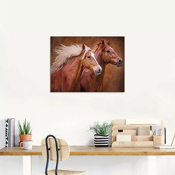 Artland Glasbild "Reinrassige Pferde I", Haustiere, (1 St.), in verschieden günstig online kaufen