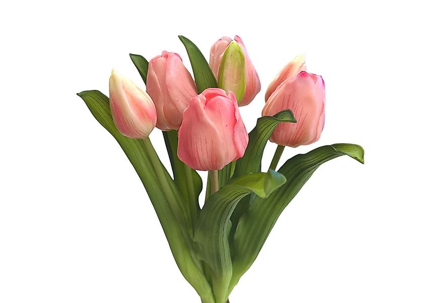 Kunsttulpe Künstlicher Tulpen-Bund 32cm "Soft-Touch" Kunstblume Tulpe, Flor günstig online kaufen