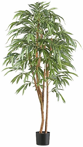 Creativ green Kunstpflanze "Ficus longifolia", mit Naturstamm günstig online kaufen