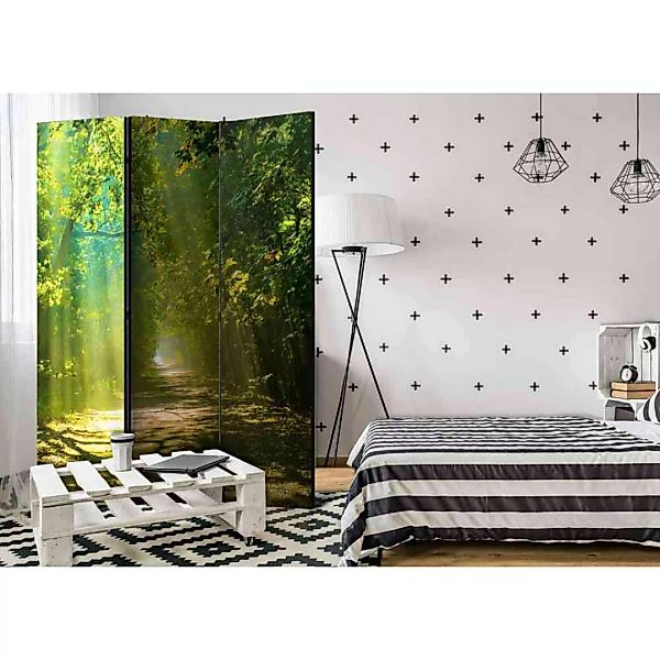 Raumteilerparavent mit Wald Motiv beidseitig bedruckt günstig online kaufen